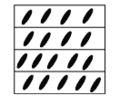 Symbolic representation of SmC LC phase