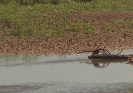 Image for story: Grandmother heartbroken after baby's body found at lake, child's mom, boyfriend arrested 