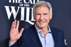 LOS ANGELES, CALIFORNIA - FEBRUARY 13: Harrison Ford attends the Premiere of 20th Century Studios' "The Call of the Wild" at El Capitan Theatre on February 13, 2020 in Los Angeles, California. (Photo by Amy Sussman/Getty Images)