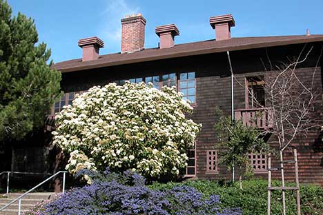 Wood shingled building with chimney stack