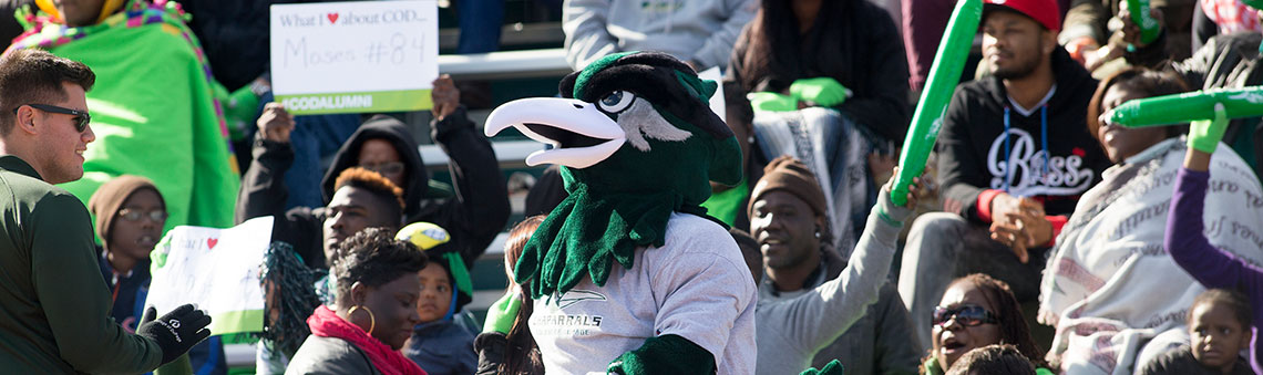 Students and mascot at football game