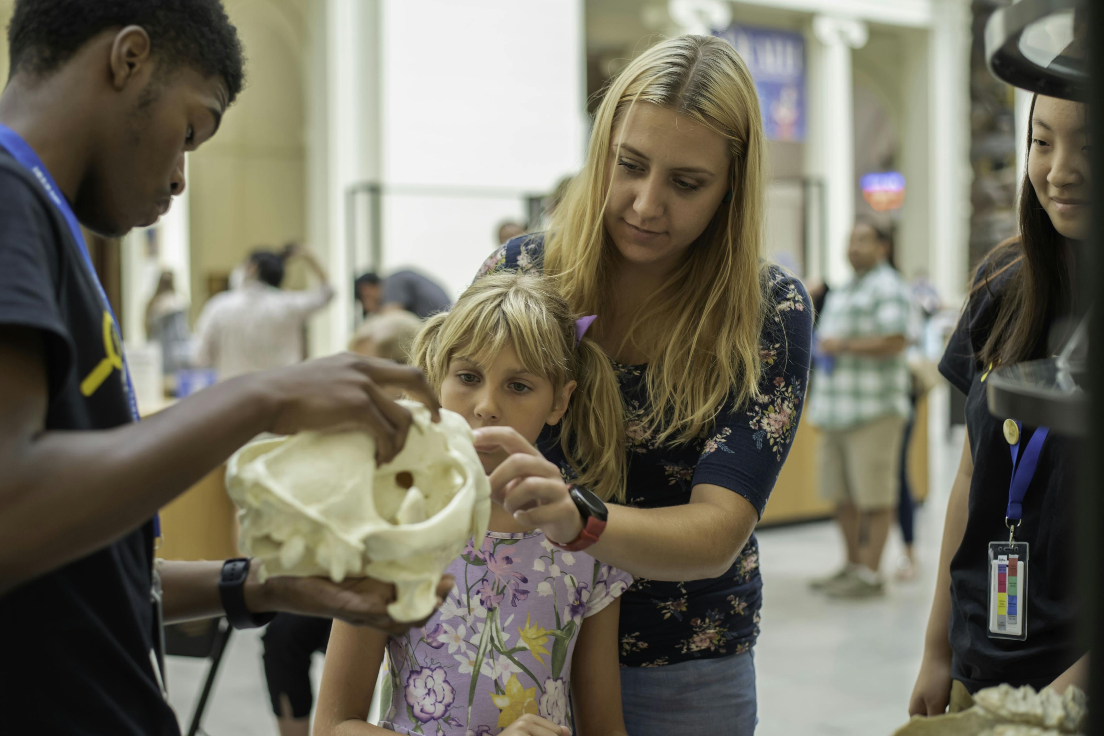 A woman and a young girl interact with museum staff, one who is holding an animal skull for them to see and touch