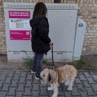 250 MBit/s: Super Vectoring der Telekom hat nur 250.000 Kunden