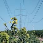 Energiewende: Die Zeit der Biotreibstoffe muss enden