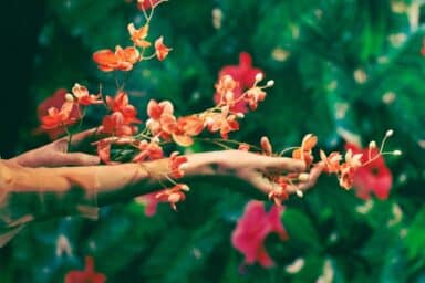 A person calmly displays a colorful bunch of flowers in front of a lush green backdrop, suggesting successful stress management.