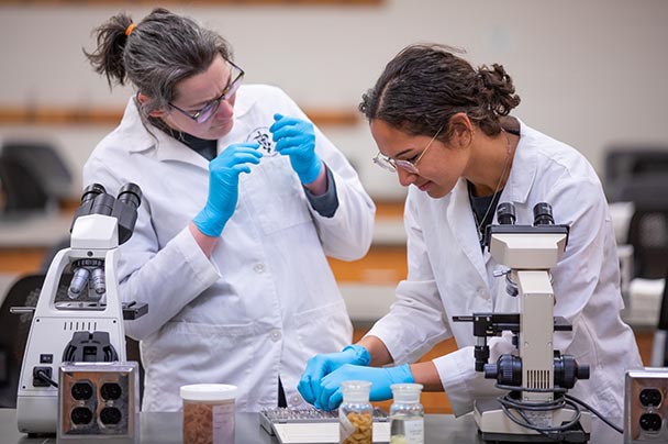 Two researchers examine samples in a lab