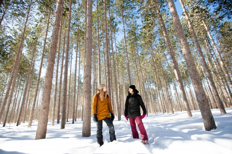 Two students showshoeing in the woods.