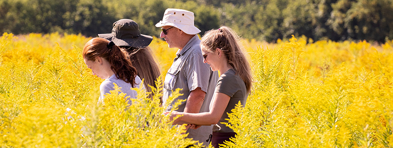 People enjoying a hike in the field