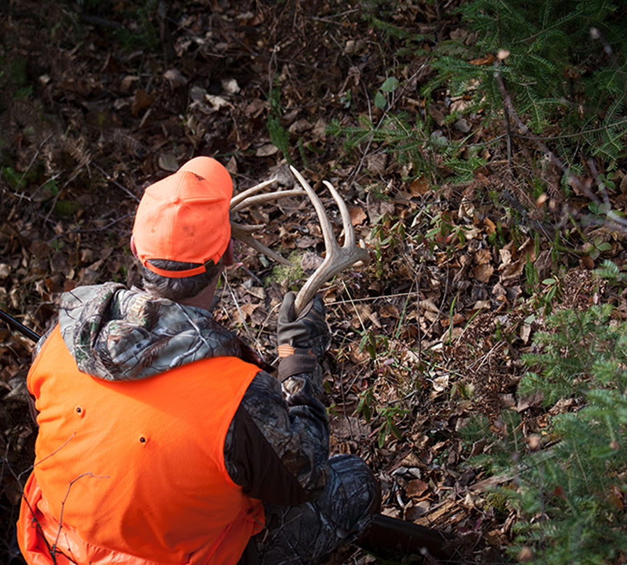 Hunter with antlers