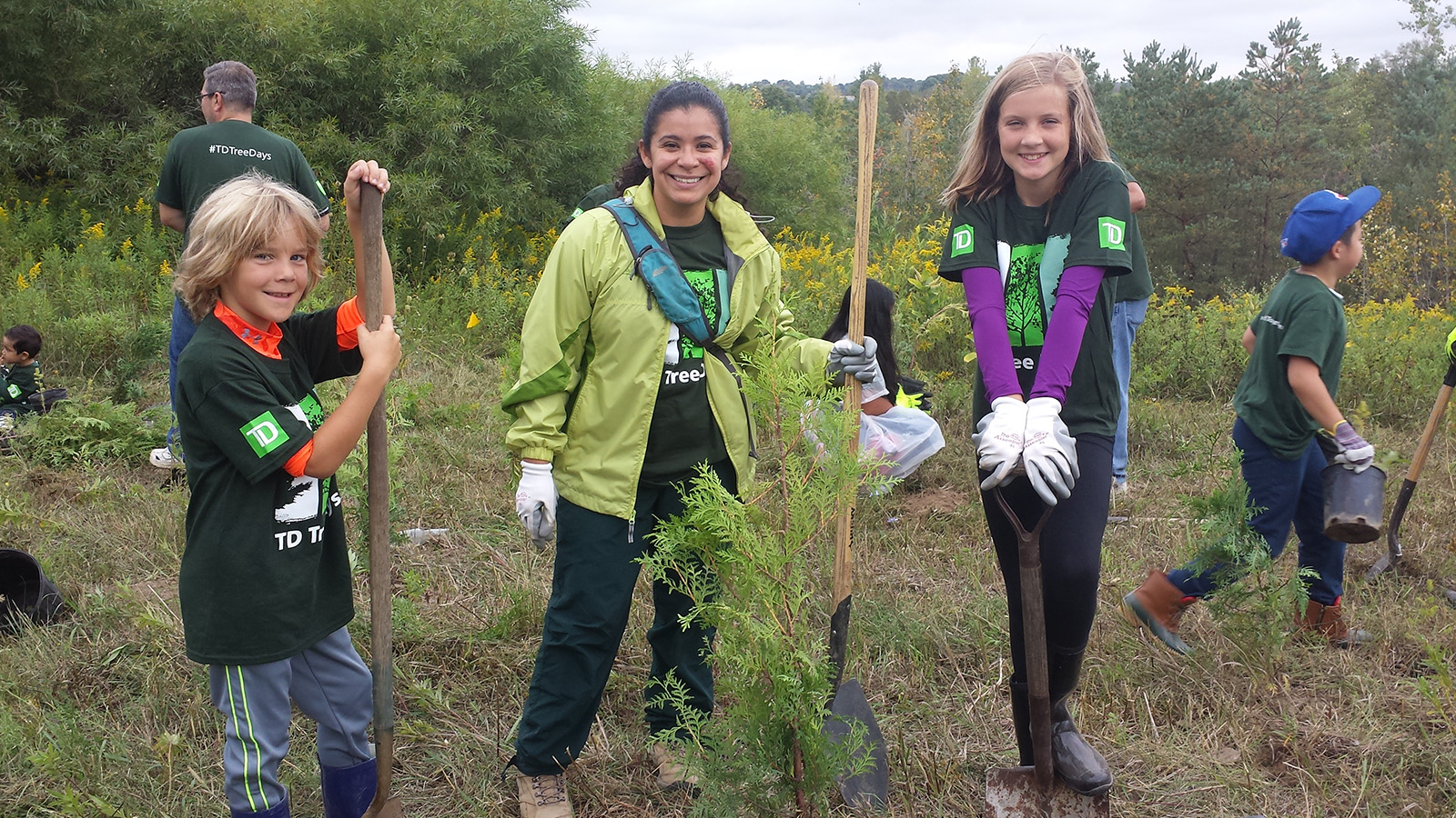 People planting trees