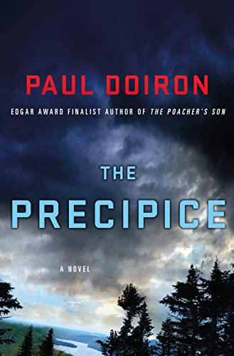 cover image The Precipice