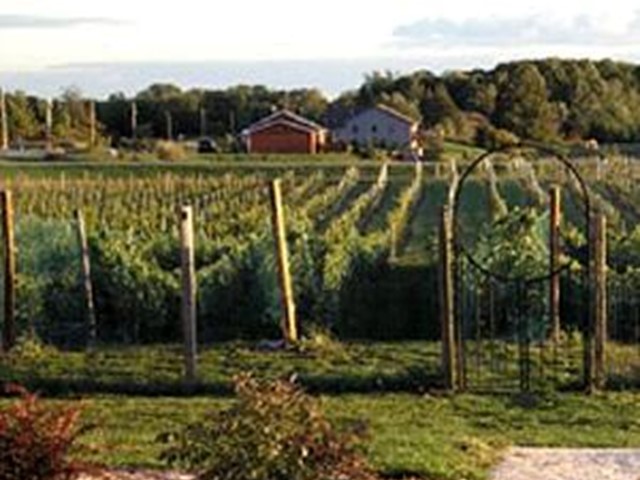 Fox River Valley Wine Trail