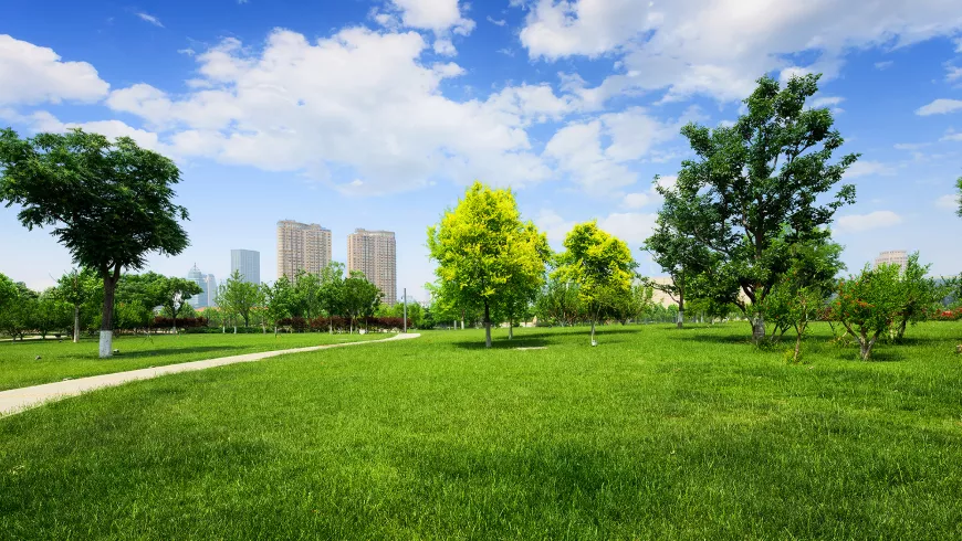 A city skyline is seen from a park.